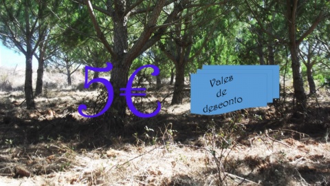 5€ = 5 vales de desconto de 1€