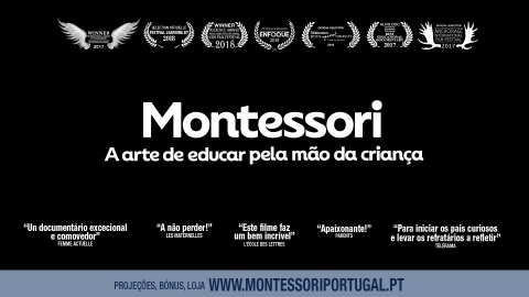 DVD + 2 Sets Cartões Nomenclatura Montessori