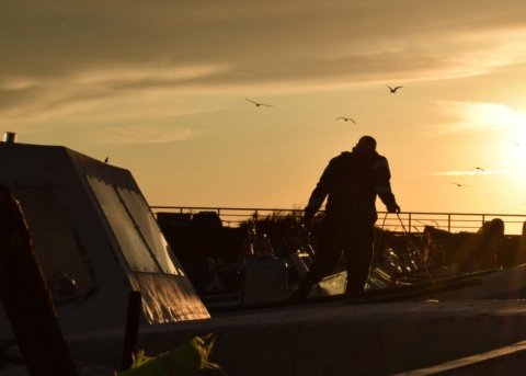 Agradecimentos / Créditos Finais