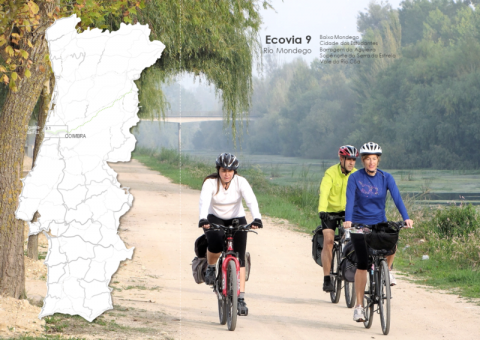 New sections + Road Book 2020