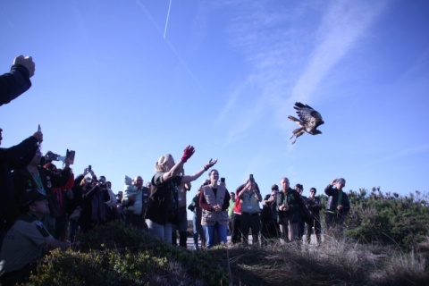 Invitation to attend a return to Nature