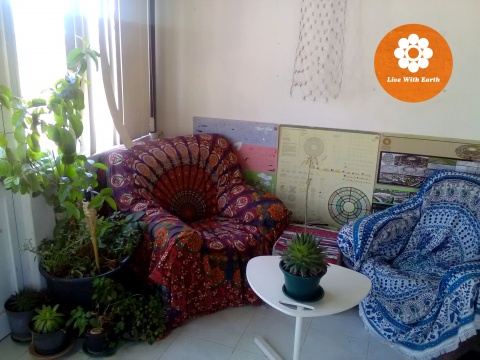 Guided visit and lunch