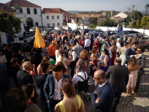 Festa Zé Picolé