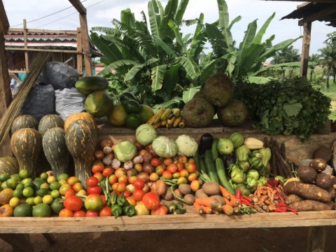 Cabaz de produtos nacionais de São Tomé e Príncipe + agradecimento na dissertação de mestrado