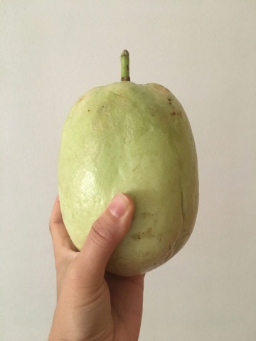 Um produto nacional de São Tomé e Príncipe + agradecimento na dissertação de mestrado