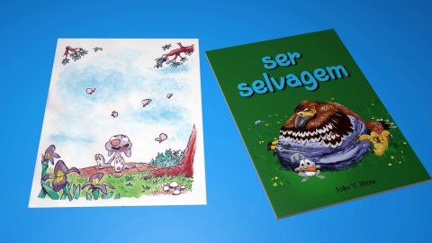 Oferta de livro bd + cartoon pintado