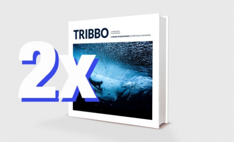 Quero 2 livros, mas apanho em mão! 