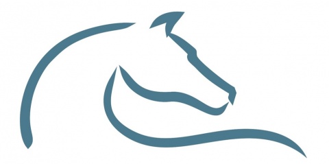 Compras com desconto na Al Equine