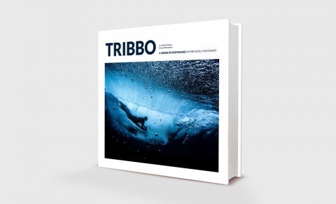 Quero o livro, mas vou apanhá-lo em mão. 