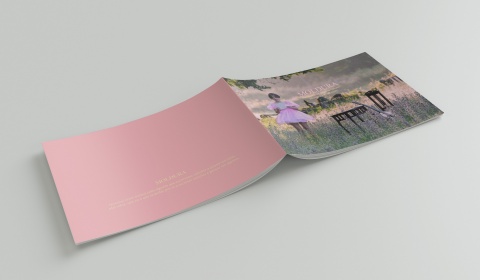 Disco + Livro de Ilustrações + Marcador de Livro + Pintura Original