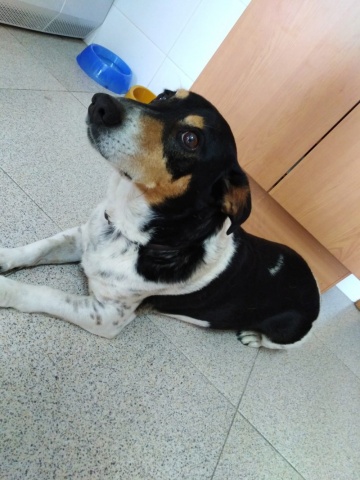 To get a monthly newsletter featuring information and 6 pictures of Piruças