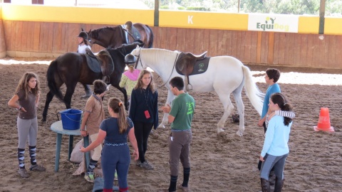 Publicidade no picadeiro!