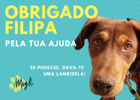 Postal de agradecimento personalizado