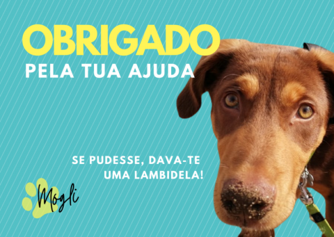 Postal de agradecimento