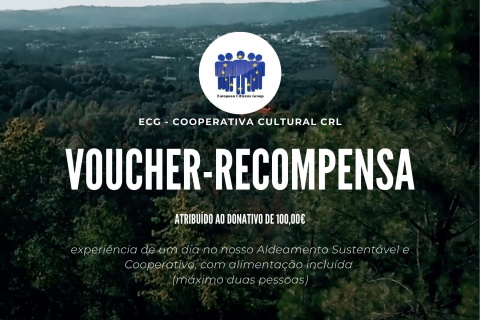 Agradecimento + Relatório de execução + Voucher de experiência de um dia