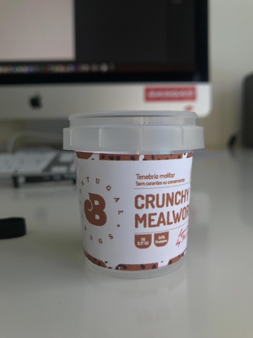 O pequeno mundo dos insetos