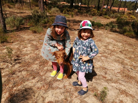 Vídeo de agradecimento do Mogli e família