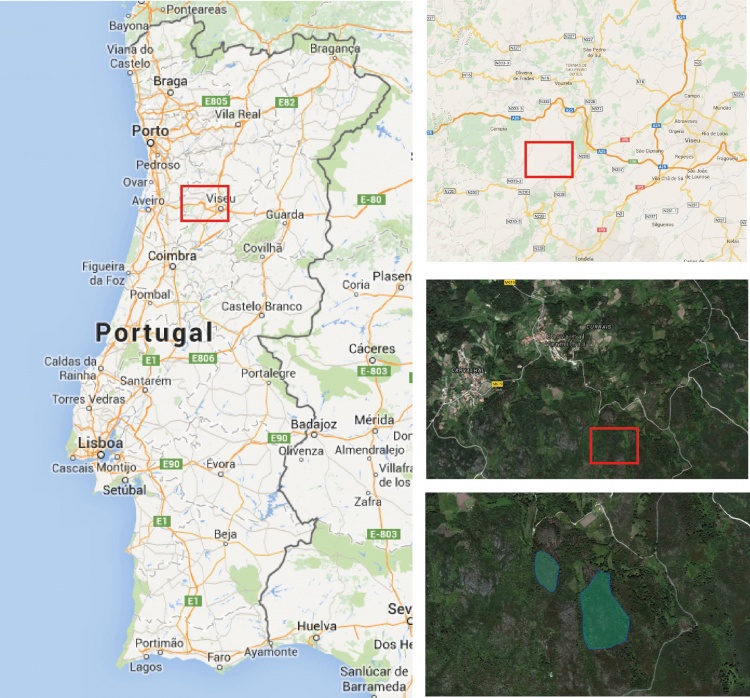 mapa da serra do caramulo E que tal sermos donos disto tudo? | PPL