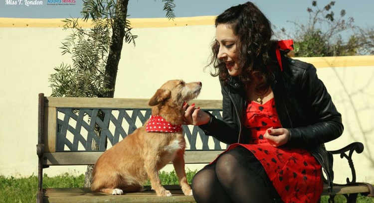  Help our animals ! They need all of us.