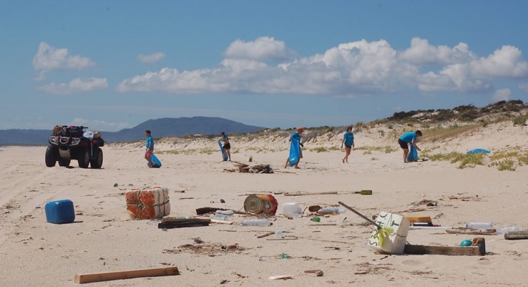 Probably the biggest beach clean-up in the world!