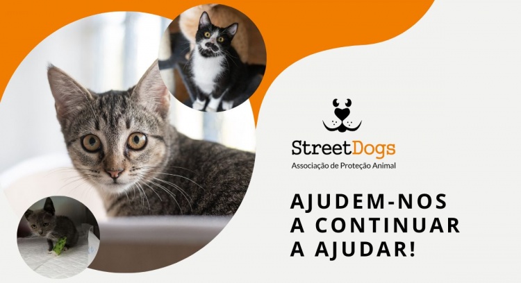 Apoio aos cuidados veterinários da Associação de Proteção Animal Streetdogs