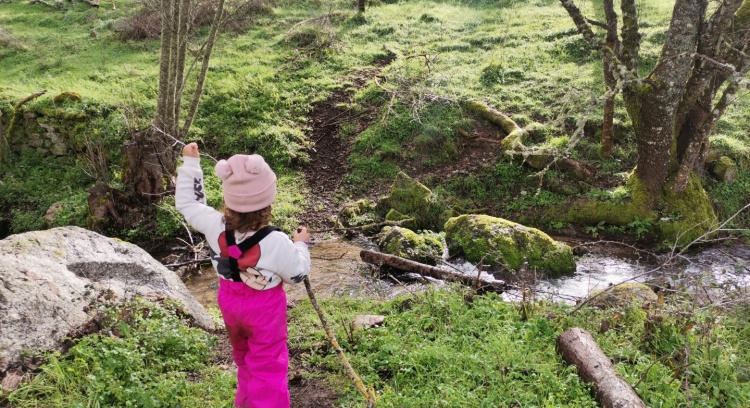 Queremos uma escola na Natureza - Moimenta da Beira, Viseu