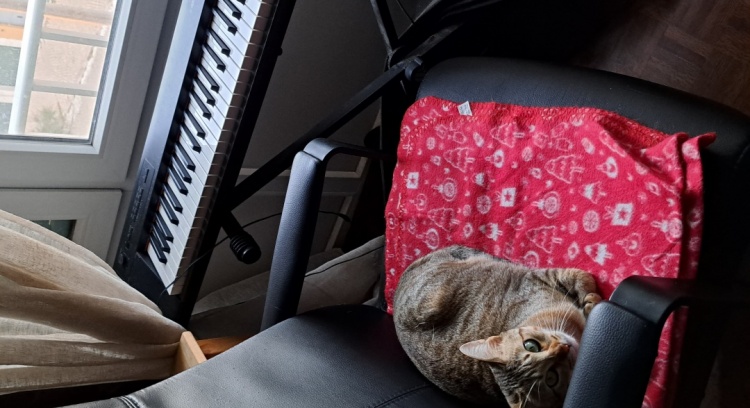 Ajudem a carol a comprar um pc novo