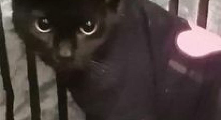 Ajudem a Zézinha na luta contra a PIF