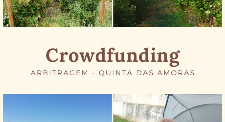 Crowdfunding -  Arbitragem - Quinta das Amoras