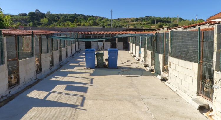 Kausa Animal - Construção de Etar em abrigo 