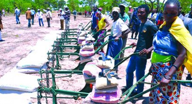 Lutando pelo direito dos agricultores 
