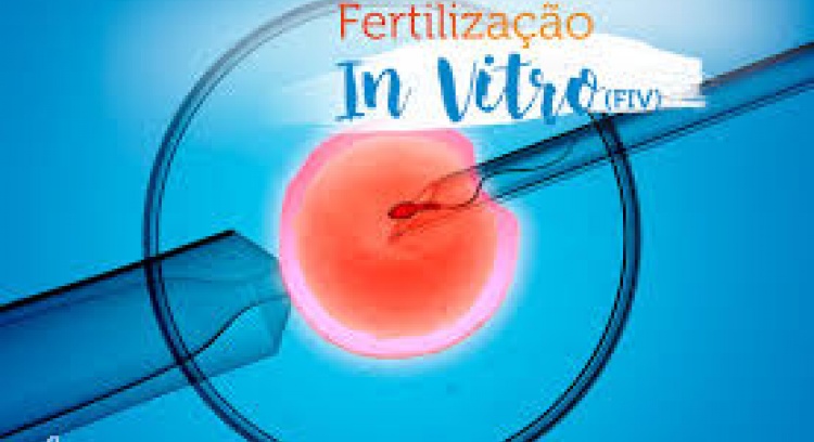 Ajuda para Fertilização In Vitro- Endometriose