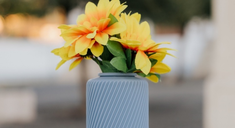 Sallus Home: Elegant Fire Protection for Your Home