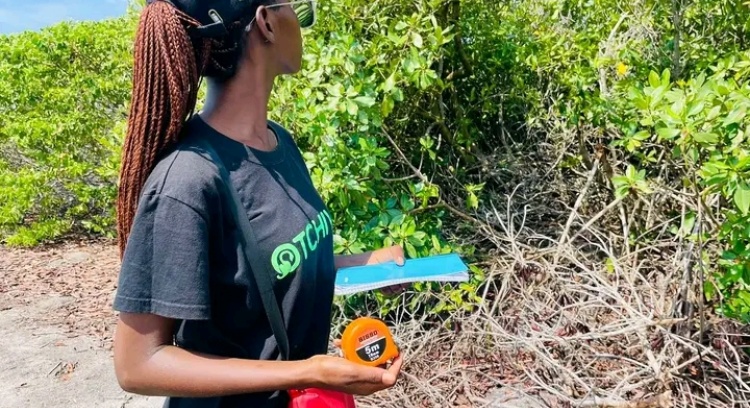 PROJETO PARA FINANCIAMENTO DO PODCAST "VOZ DOS MANGAIS"