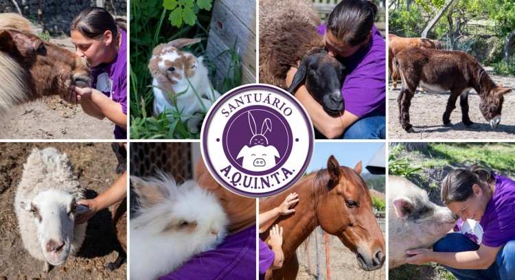 The farm animals need to eat - URGENT!