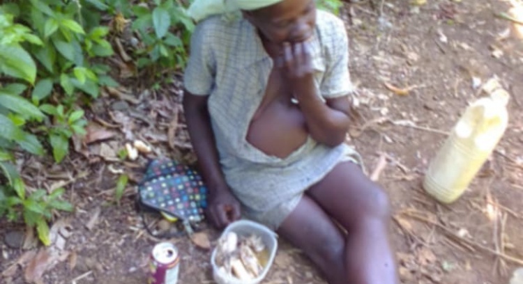 Casa de minha mãe, desabrigada!