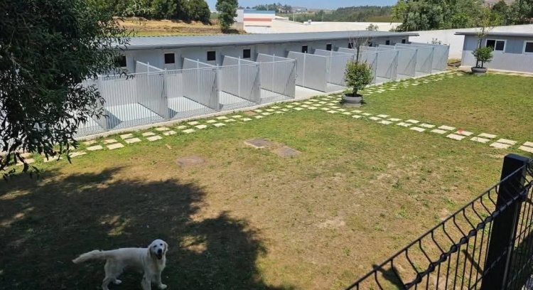 Construção do novo abrigo da Patinhas sem Lar