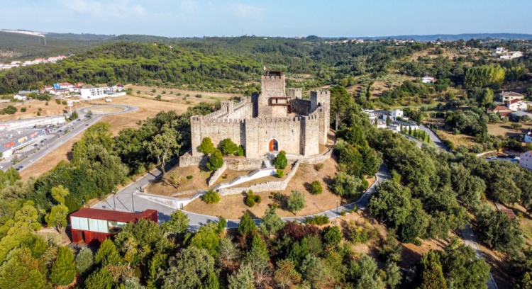 Memories that Blossom: The Castle Forest Rediscovered