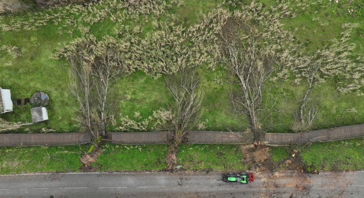 Arunca Vivo: Recovering, Adapting, and Creating a Nature Corridor for All