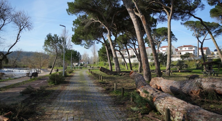 Os gigantes não morrem — transformam-se