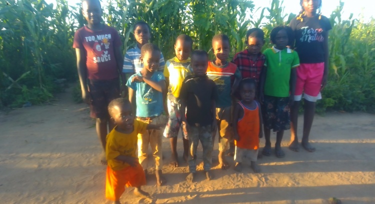 Mandiquisse: A Seed of the Future for Mozambique
