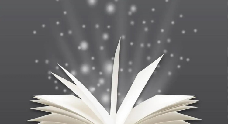 Book "Phoenix Woman" — Help give wings to this story  