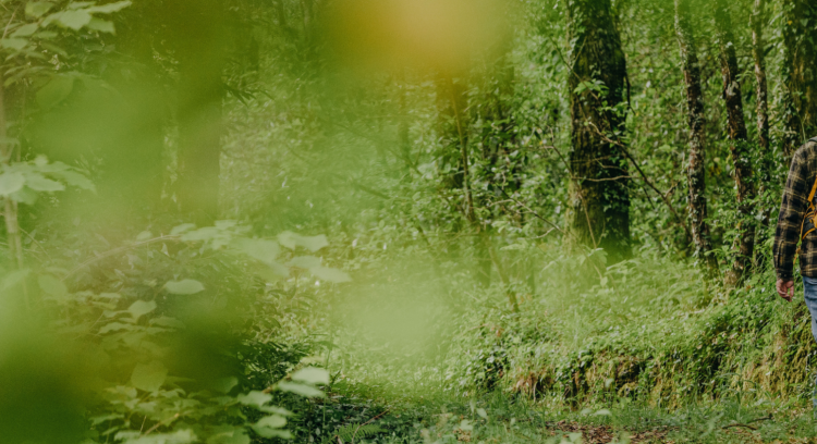Microforests to regenerate and educate in the Pinhal Interior