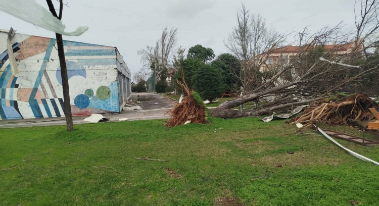 "More shade. More life"