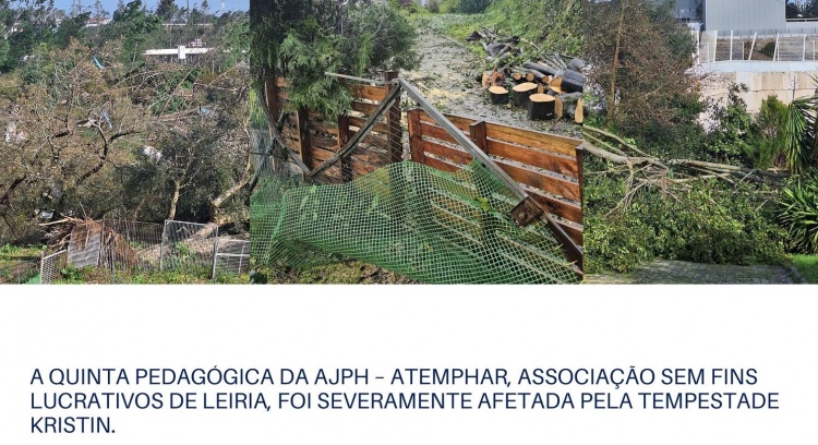 Sementes de Futuro: Reconstruir a Quinta da Comunidade em Leiria