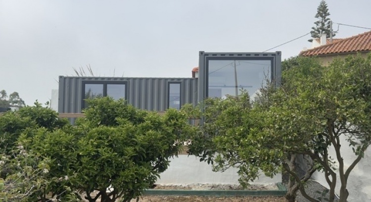 Orange Tree Containers