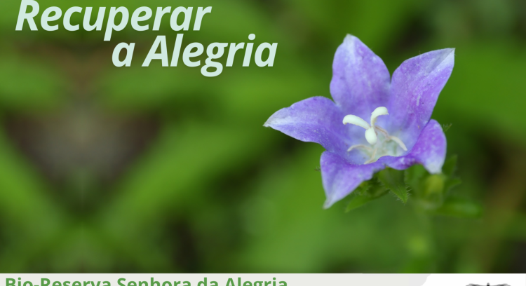 Recovering the Senhora da Alegria Bio-Reserve