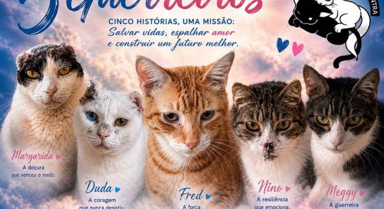 5 Guerreiros, 5 histórias, 5 vidas uma missão