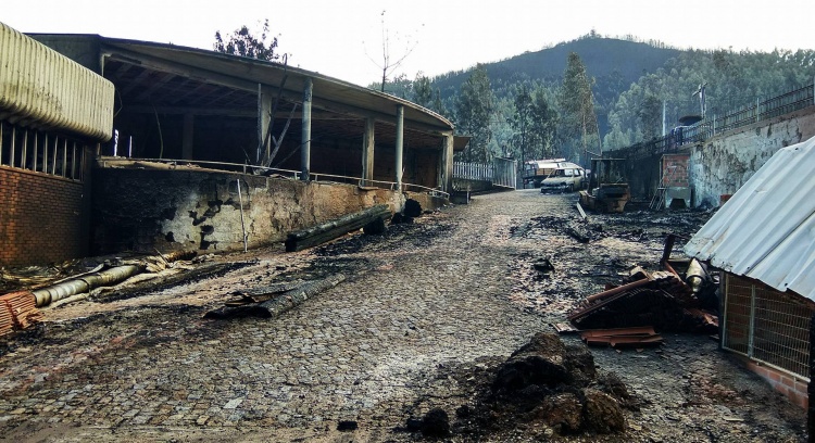 Ajude-nos a AJUDAR - reerguer família vítima do incêndio de 15 de Outubro
