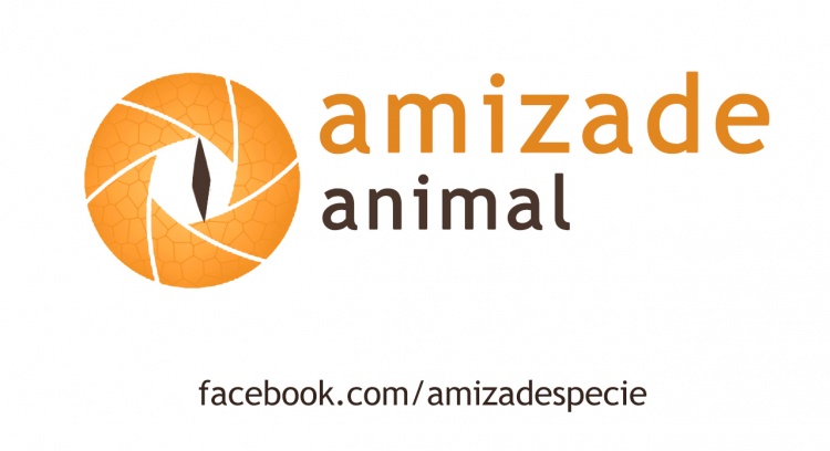 Amizade Animal - Campanha Crowdfunding 2015